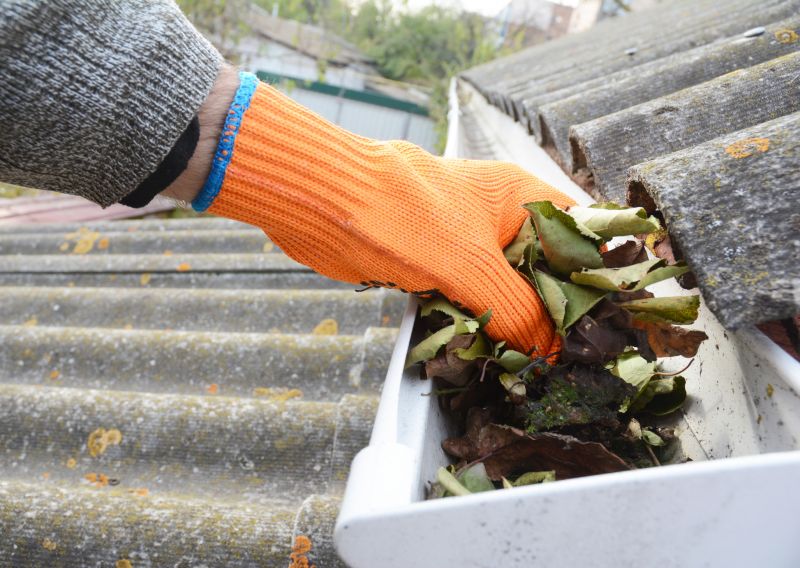 Commercial Gutter Maintenance in Denver County, CO